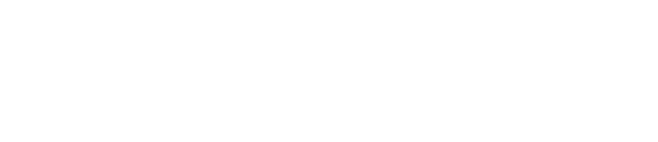 SURFACECOLOR — logo